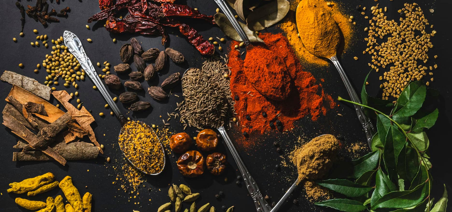 Assorted Pakistani and Indian spices in spoons on a dark surface